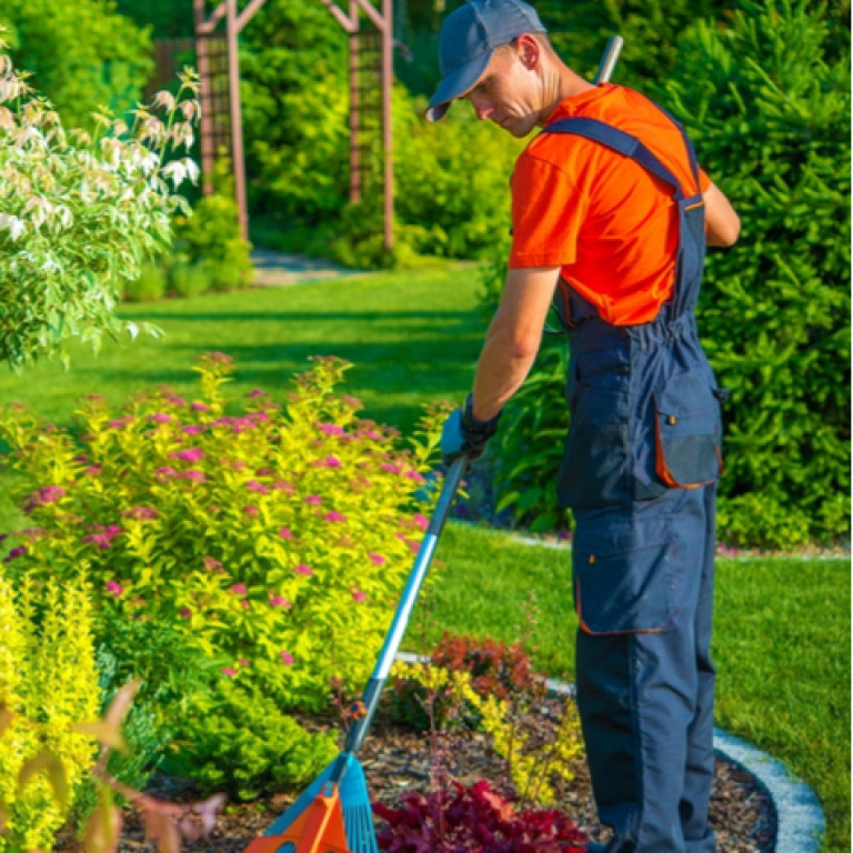 Entretien de jardin